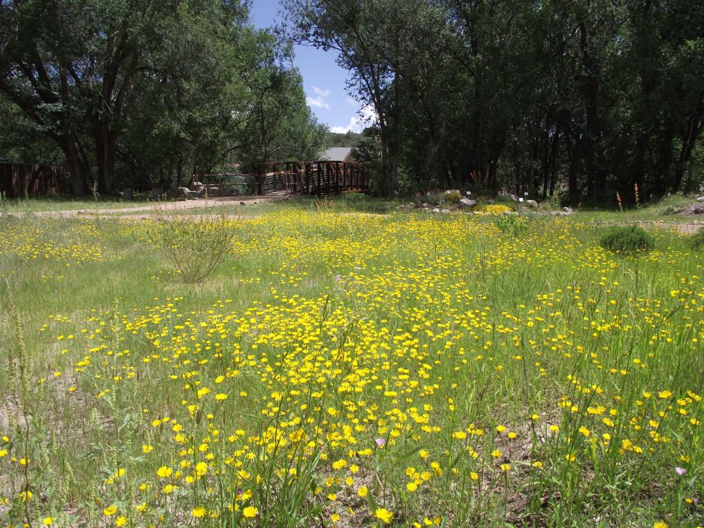 Silva Creek Botanical Garden