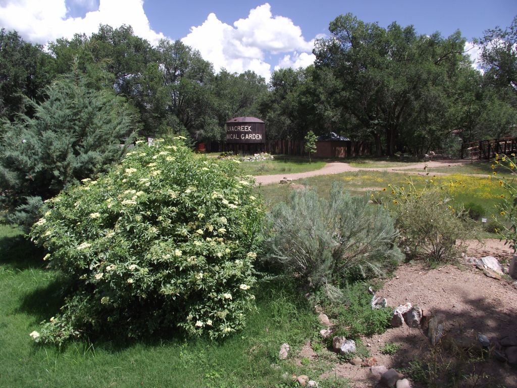 Silva Creek Botanical Garden