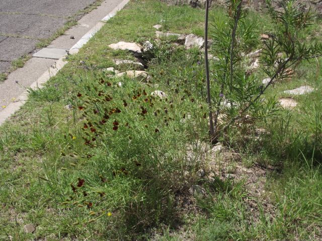 WNMU 10th Street