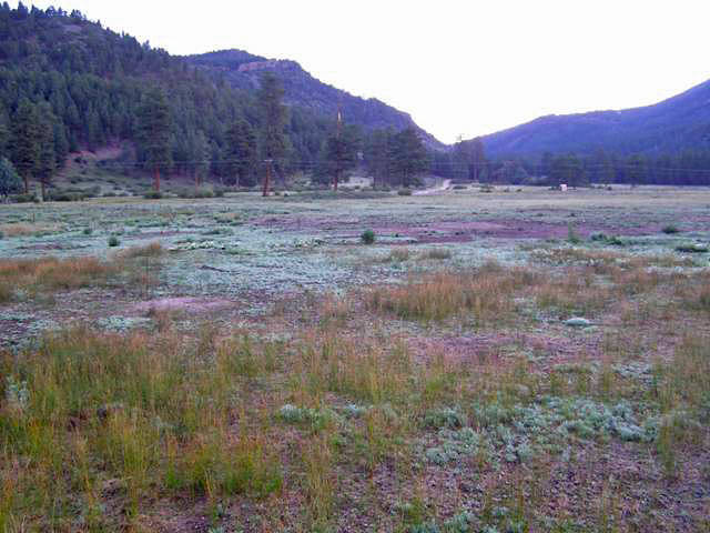 Area to be saturated with water