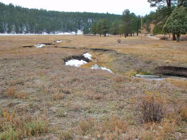 Valles Caldera gully
