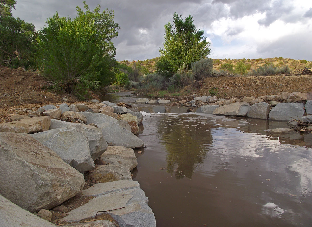 San Vicente Creek project in action