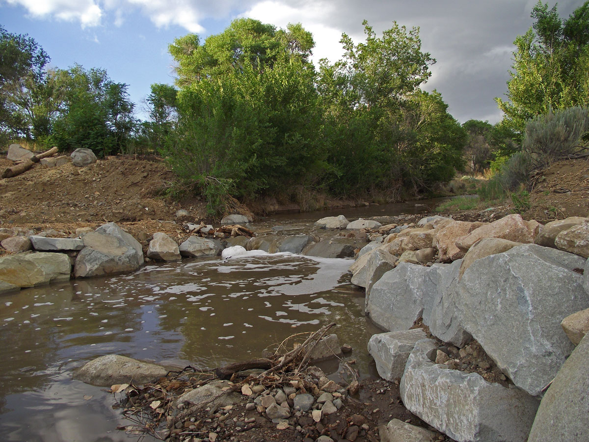 San Vicente Creek project in action