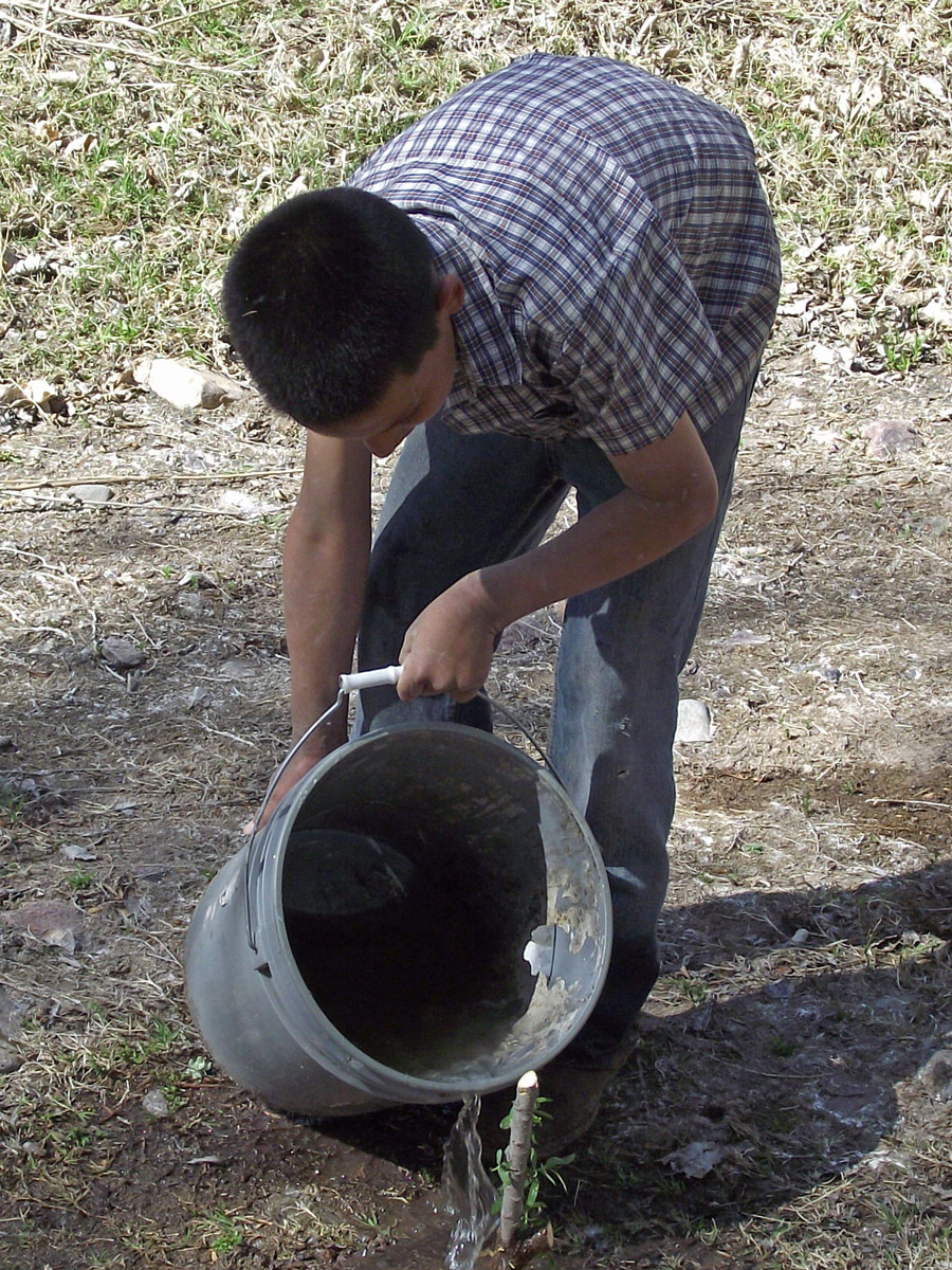 Volunteers working at riparian habitat restoration in Sonora, Mexico