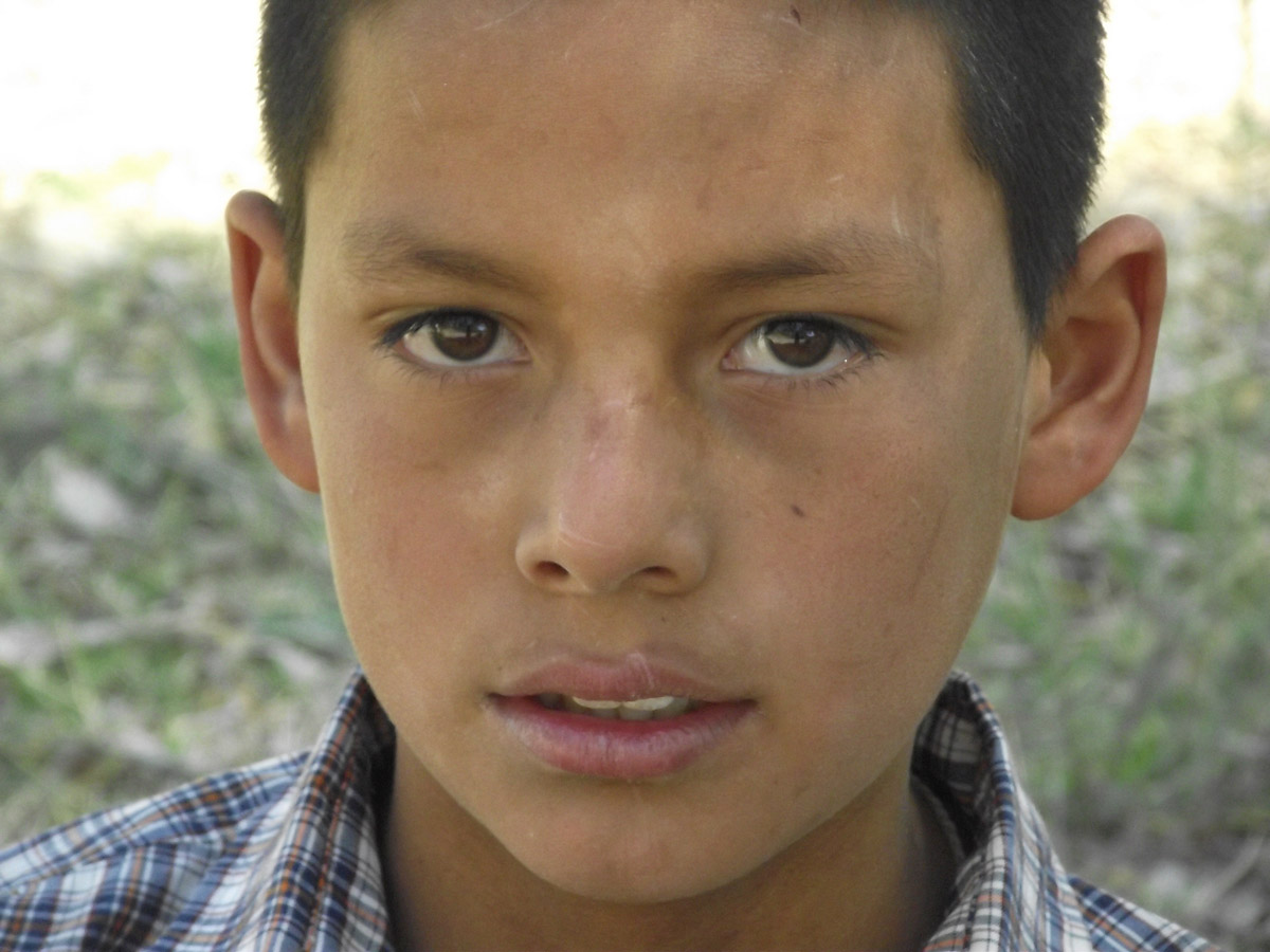 Volunteers working at riparian habitat restoration in Sonora, Mexico