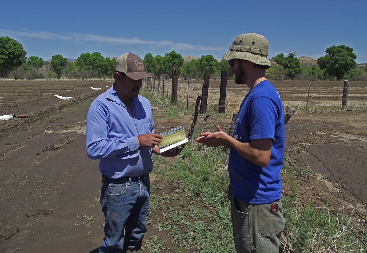 Volunteers working at riparian habitat restoration in Sonora, Mexico