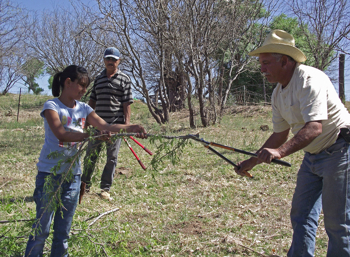 Volunteers working at riparian habitat restoration in Sonora, Mexico