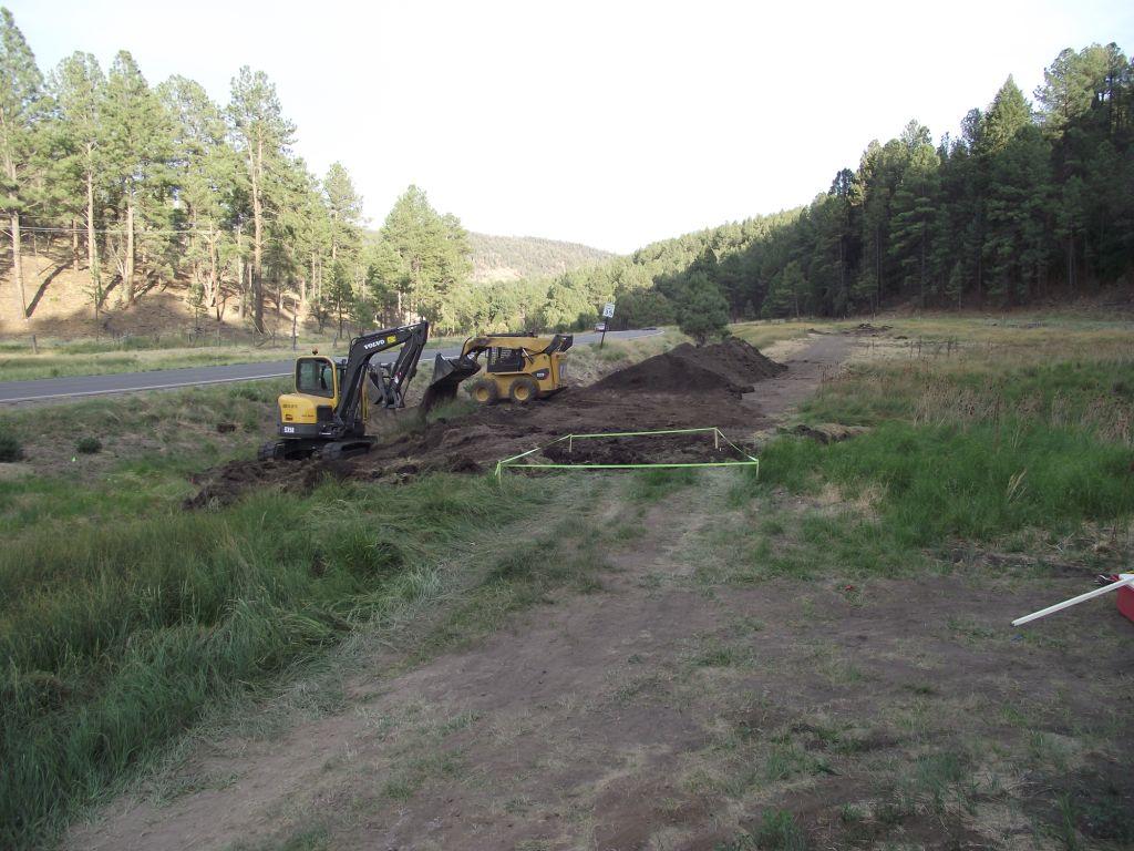 Bog Springs Restoration