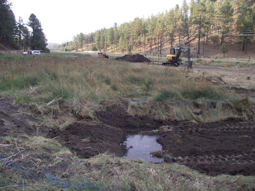 Bog Springs Restoration