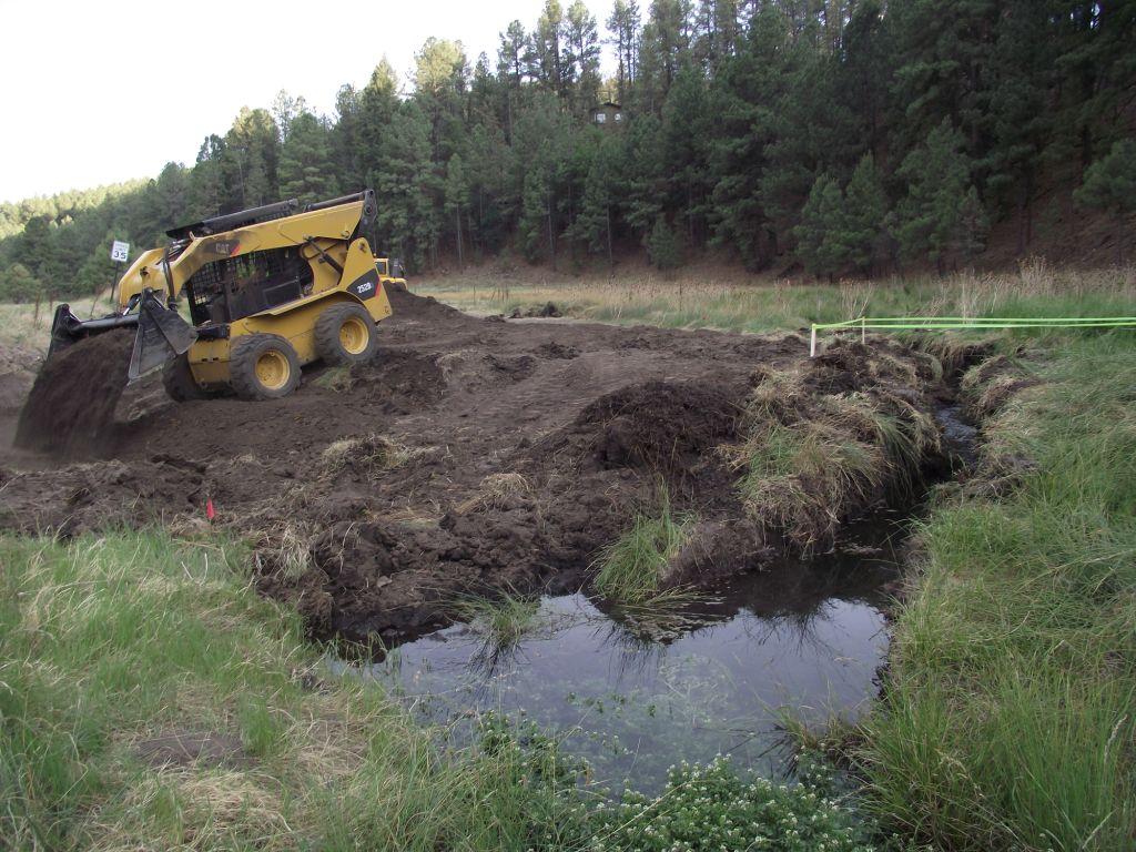 Bog Springs Restoration