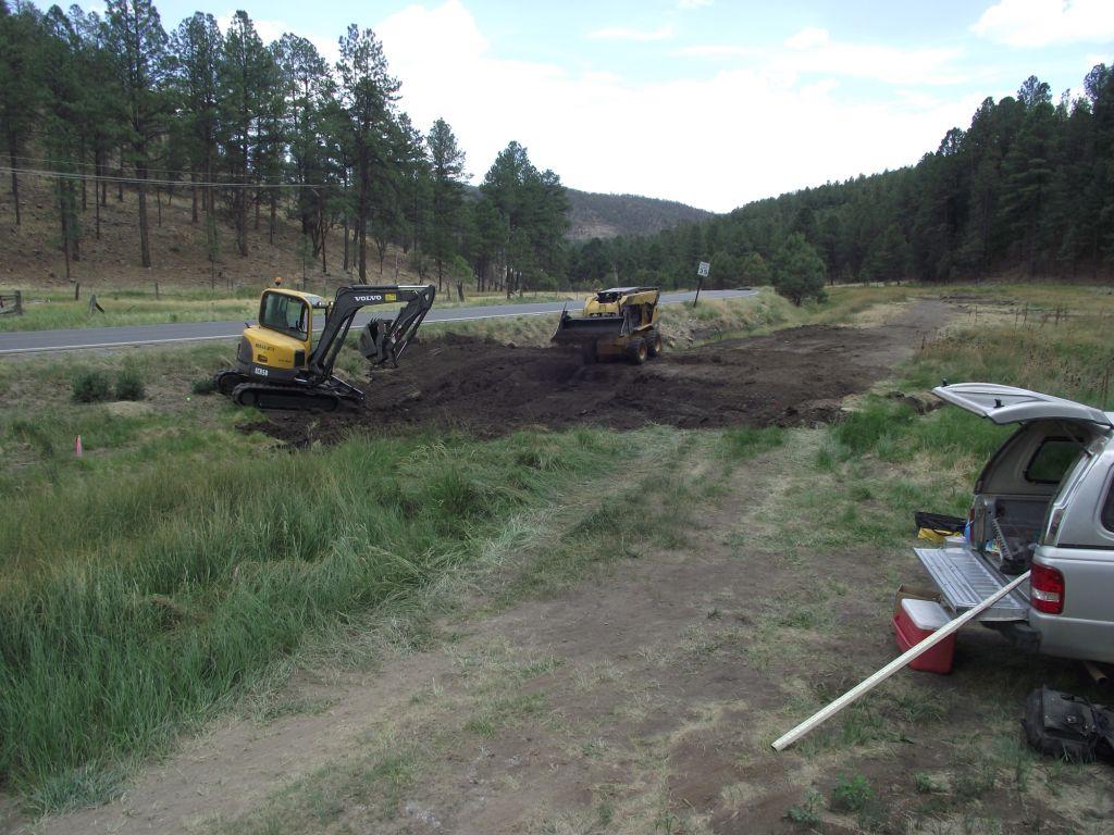 Bog Springs Restoration