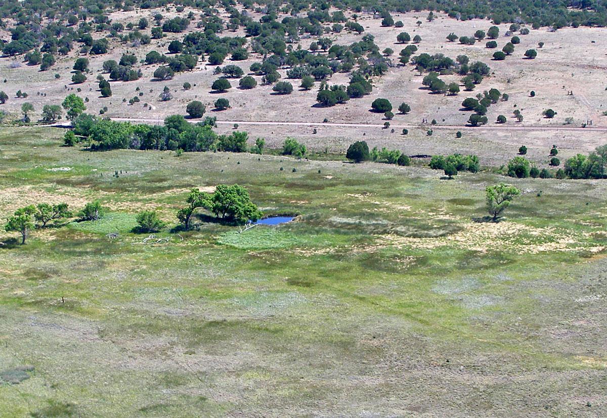 Cloverdale Cienega Restoration Project