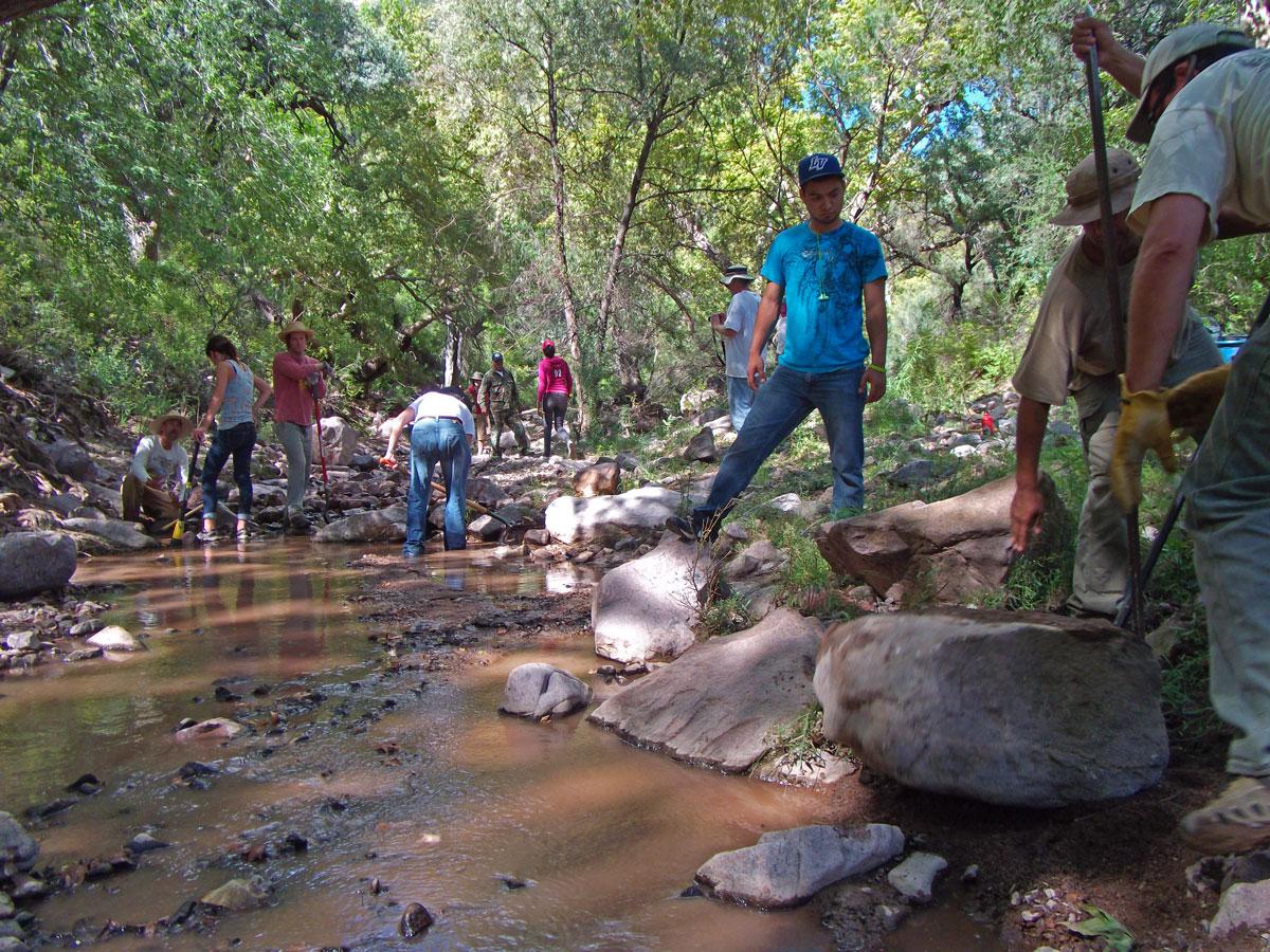 Rancho Esmeralda Riparian Habitat Improvement