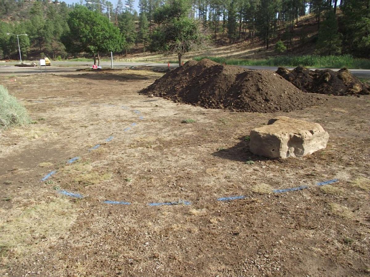 Bog Springs Restoration