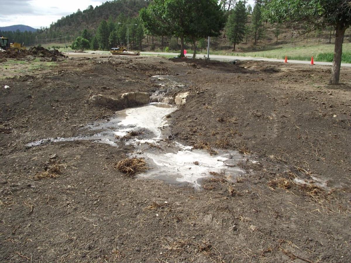 Bog Springs Restoration