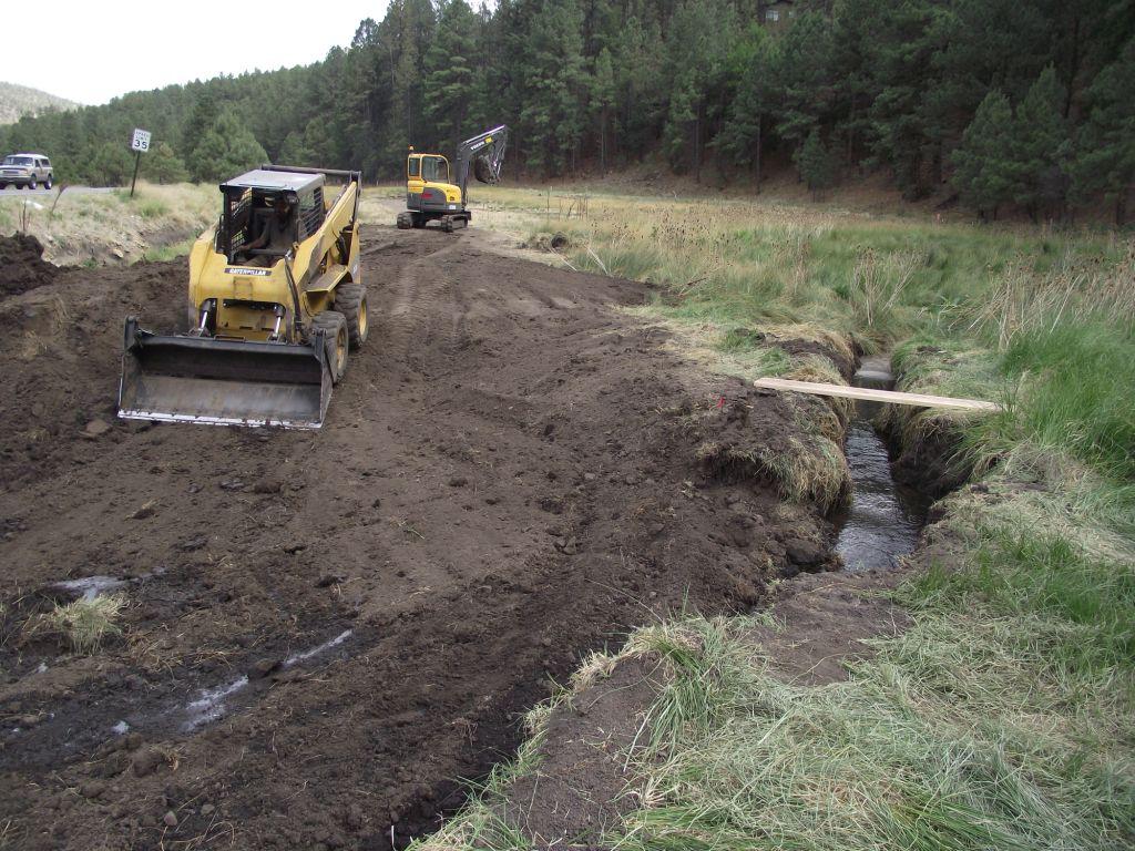 Bog Springs Restoration