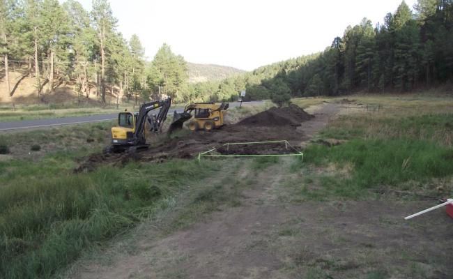 Bog Springs Restoration