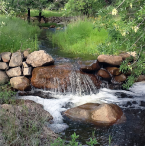West Turkey creek check dam