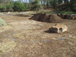 Bog Springs Creek Before