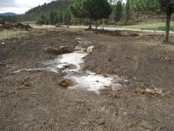 Newly constructed wetland