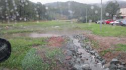 Water harvesting basin in action